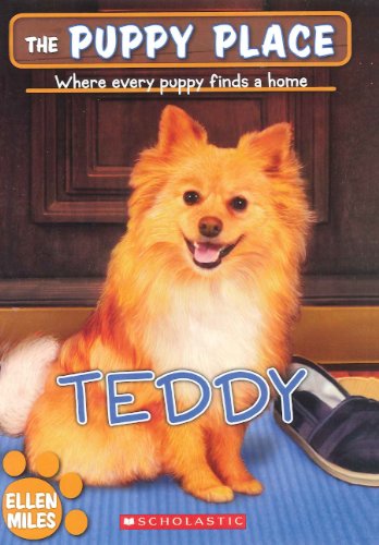 Teddy book cover