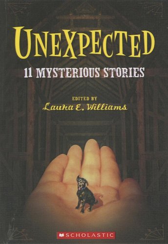 Unexpected book cover