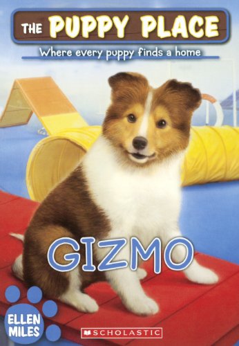 Gizmo book cover