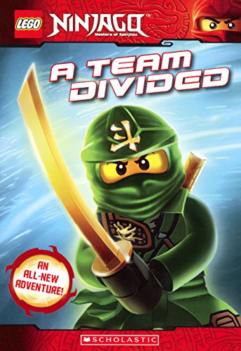 Team Divided cover