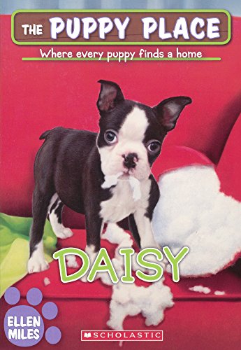 Daisy book cover