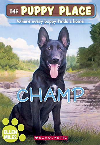 Champ book cover