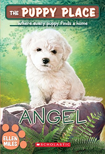 Angel book cover