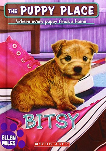 Bitsy book cover