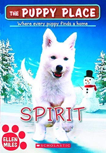 Spirit book cover