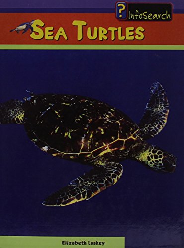 Cover of Sea Turtles