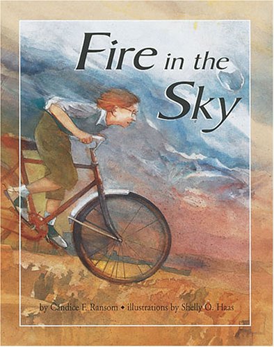 Cover of Fire in the Sky