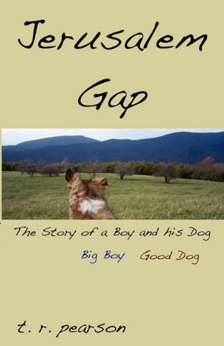 Jerusalem Gap book cover