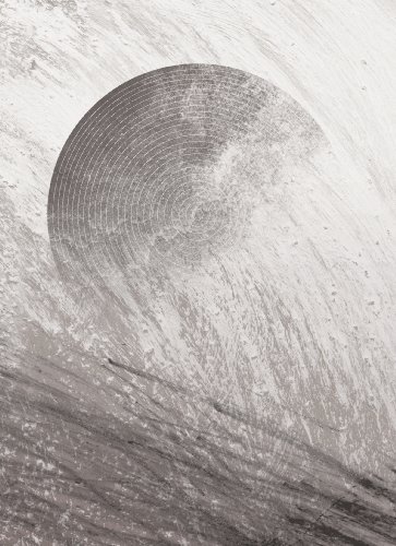 Anobium: Volume 2 book cover