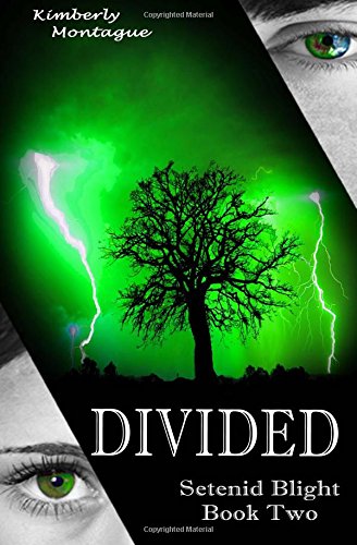 Divided book cover
