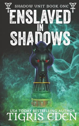 Enslaved in Shadows book cover