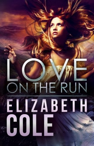 Love on the Run book cover