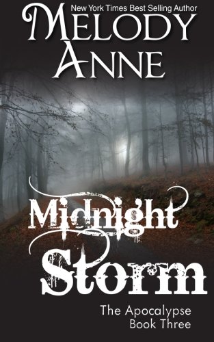 Midnight Storm book cover