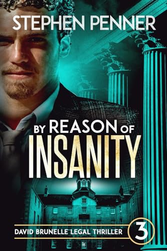 By Reason of Insanity book cover