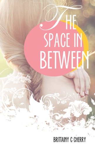 The Space in Between book cover