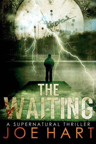 The Waiting book cover