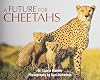 Future for Cheetahs