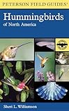 A Field Guide To Hummingbirds Of North America Peterson Field Guides
