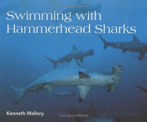 Swimming with Hammerhead Sharks book cover
