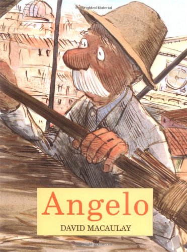 Angelo book cover