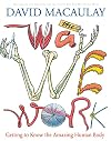 The Way We Work: Getting to Know the Amazing Human Body