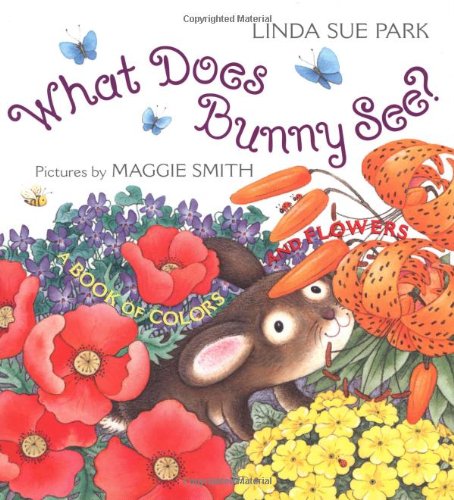 What Does Bunny See? book cover
