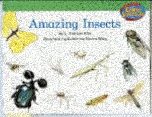 Cover of Amazing Insects