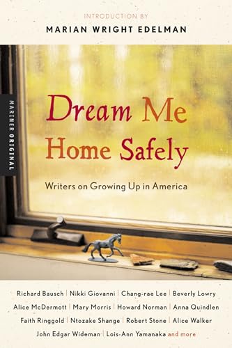 Dream Me Home Safely book cover