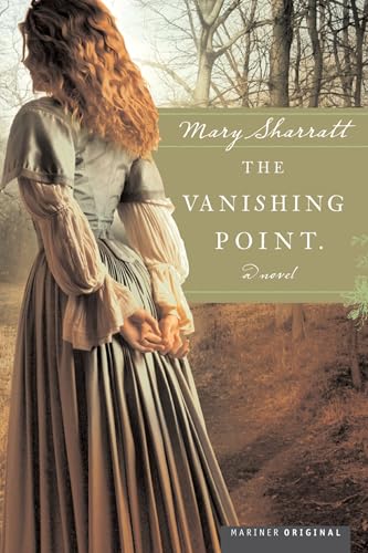 The Vanishing Point book cover