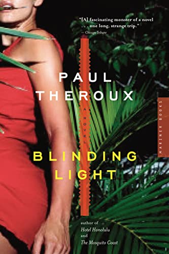 Blinding Light book cover