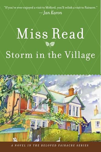 Storm in the Village book cover