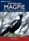 Australian Magpie: Biology and Behavior of an Unusual Songbird