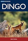 Dingo