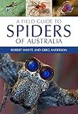 A Field Guide To Spiders Of Australia