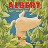 Albert, The Greyhound Who Loves to Run