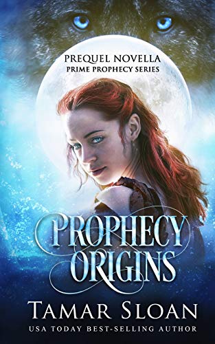 Prophecy Origins / The Moment / A Moment for Tara book cover