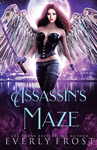 Assassin's Maze book cover