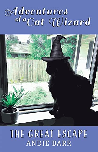 Cover of Adventures of a Cat Wizard