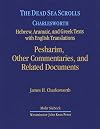 The Dead Sea Scrolls: Pesharim, other commentaries and related documents