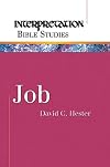 Job (Interpretation Bible Studies)