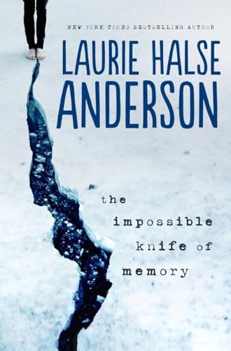 The Impossible Knife of Memory book cover