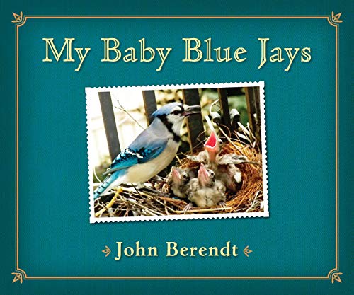 My Baby Blue Jays book cover