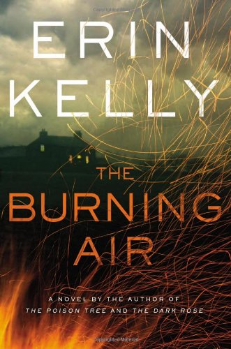 The Burning Air book cover