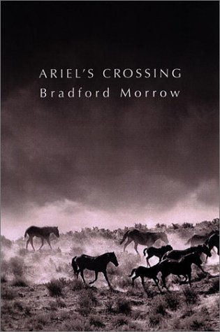 Ariel's Crossing book cover