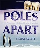 Poles Apart Why Penguins And Polar Bears Will Never Be Neighbors