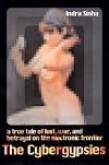 The Cybergypsies