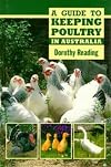 A guide to keeping poultry in Australia