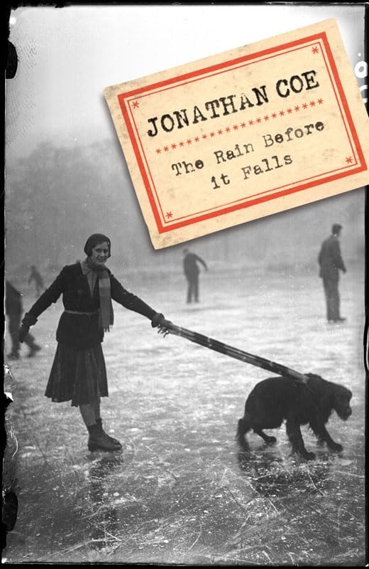The Rain Before it Falls book cover