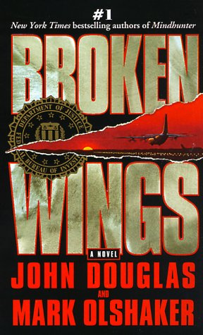 Broken Wings book cover