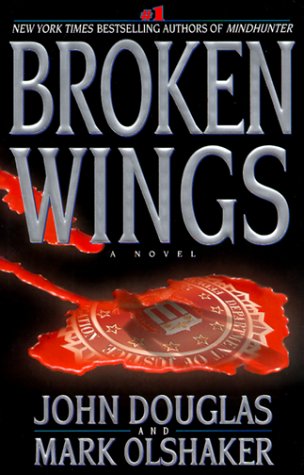 Broken Wings book cover